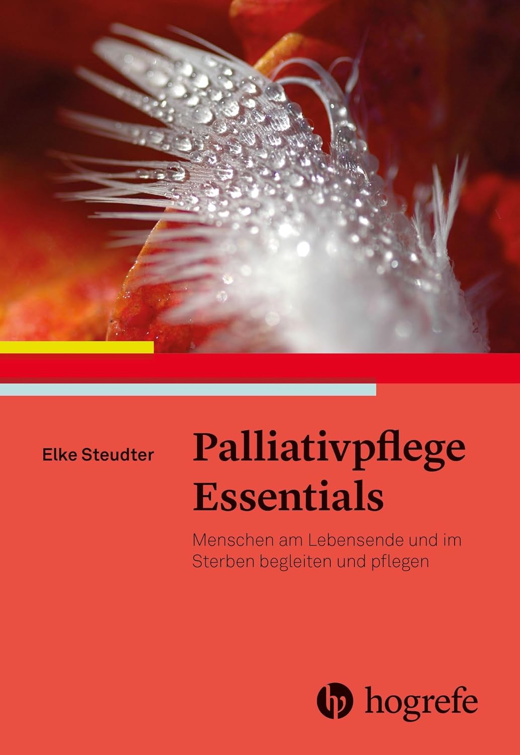 Palliativpflege Essentials / NEUERSCHEINUNG 2026